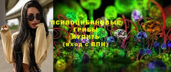 индика Армянск