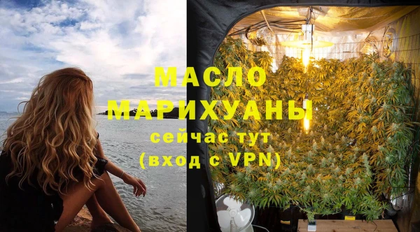 индика Армянск