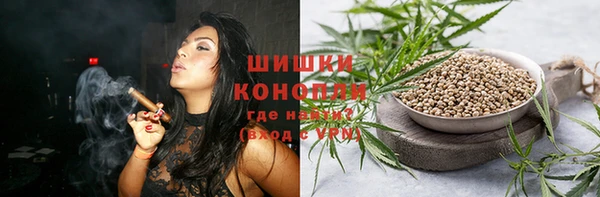 стаф Покачи