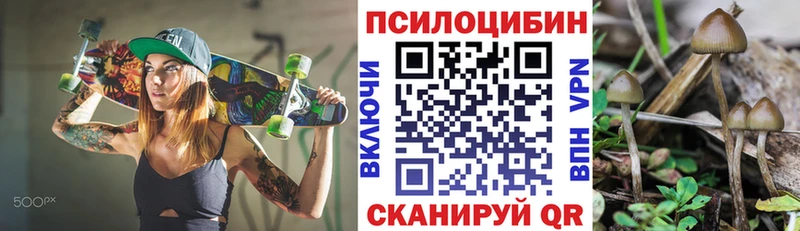 Галлюциногенные грибы MAGIC MUSHROOMS  Талица 